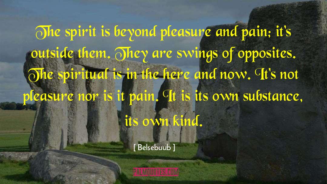 Belsebuub Quotes: The spirit is beyond pleasure