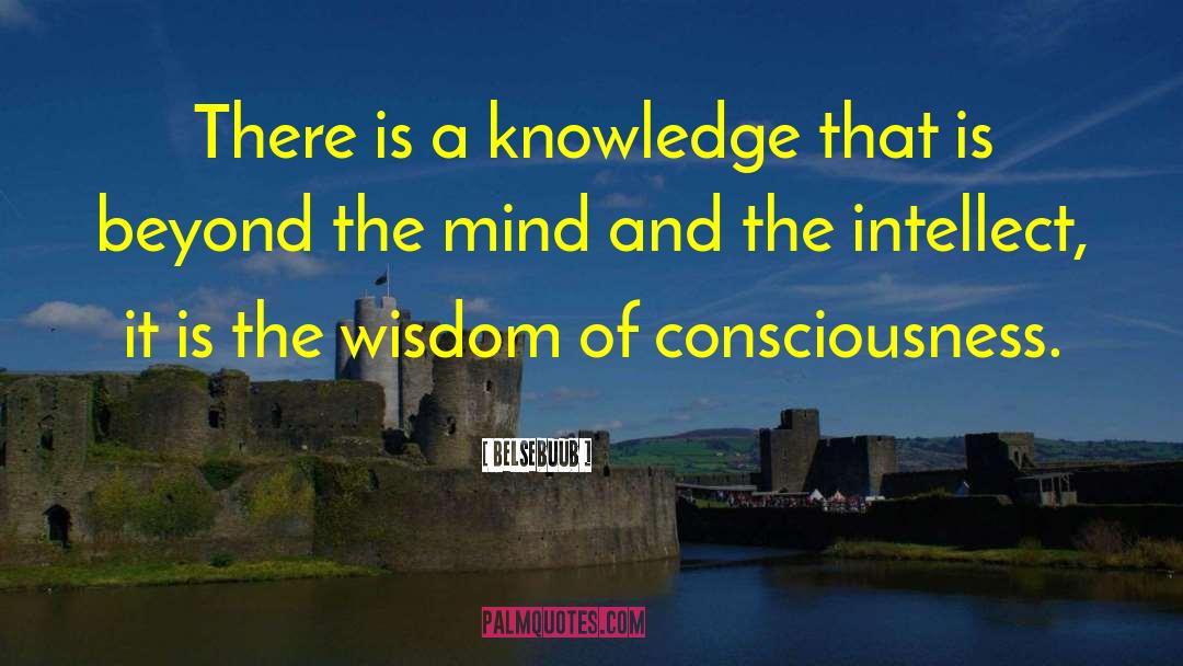 Belsebuub Quotes: There is a knowledge that