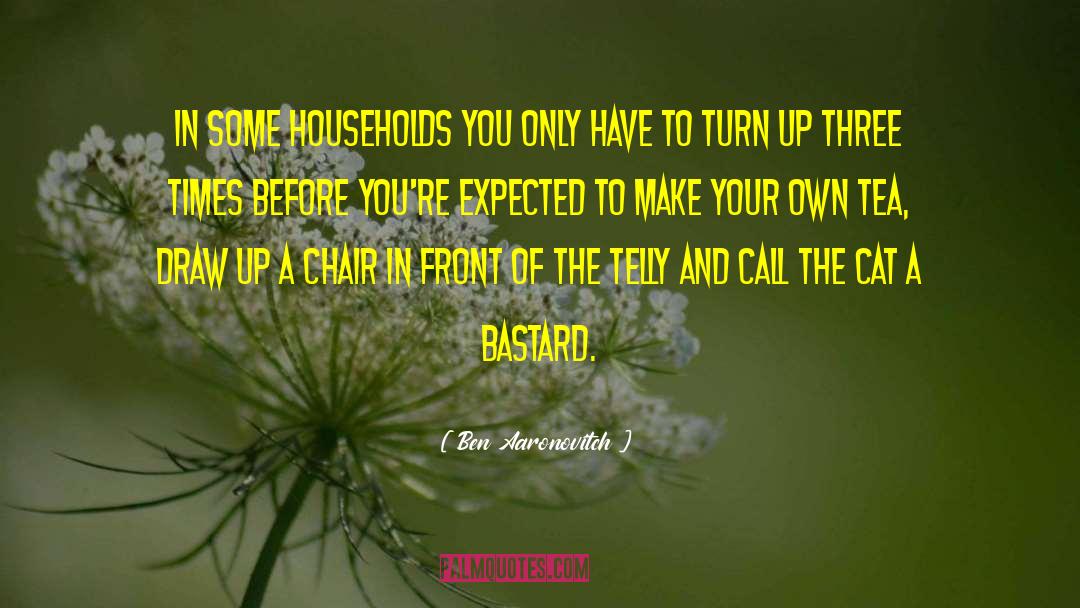 Ben Aaronovitch Quotes: In some households you only