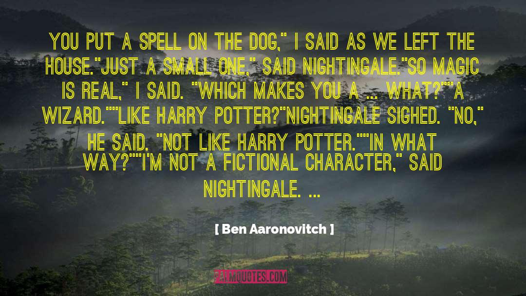 Ben Aaronovitch Quotes: You put a spell on