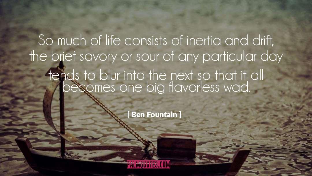 Ben Fountain Quotes: So much of life consists