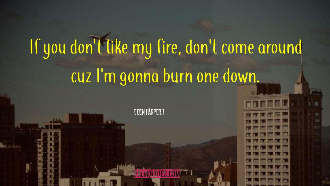 Ben Harper Quotes: If you don't like my