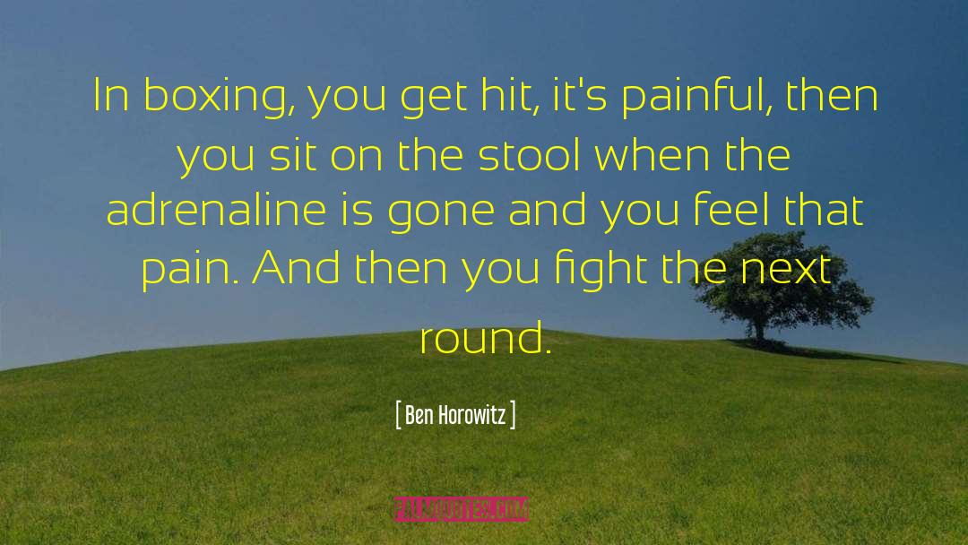 Ben Horowitz Quotes: In boxing, you get hit,