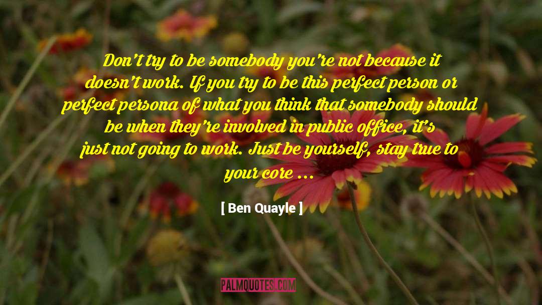 Ben Quayle Quotes: Don't try to be somebody