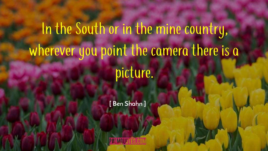 Ben Shahn Quotes: In the South or in