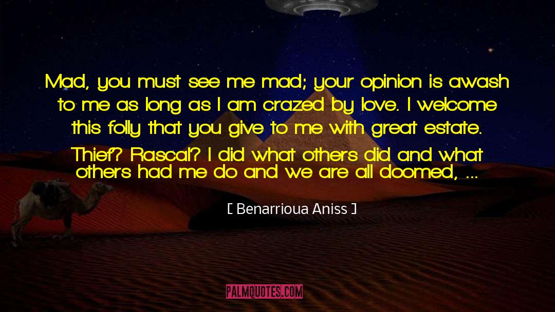 Benarrioua Aniss Quotes: Mad, you must see me