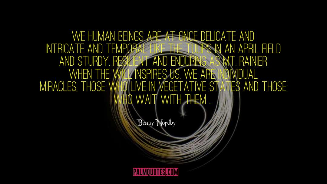 Benay Nordby Quotes: We human beings are at