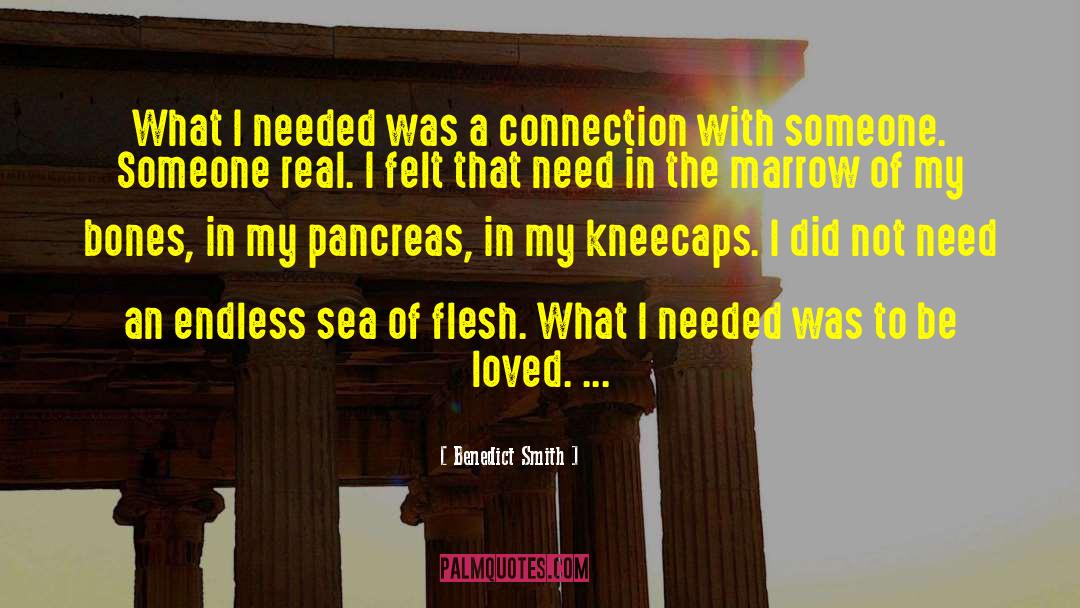 Benedict Smith Quotes: What I needed was a