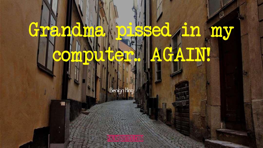 Benign King Quotes: Grandma pissed in my computer..