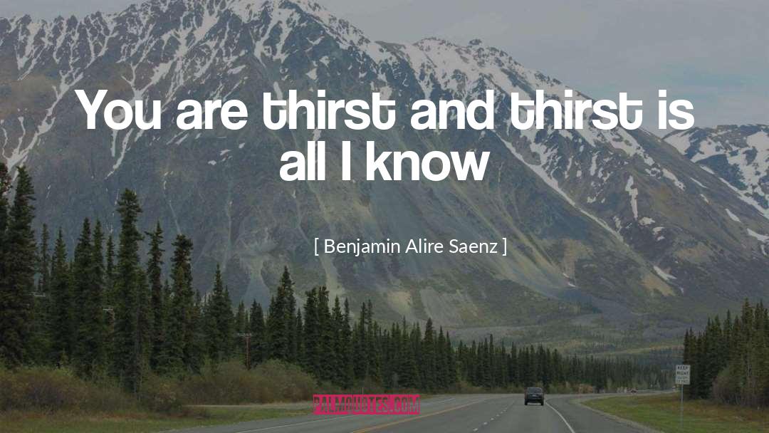 Benjamin Alire Saenz Quotes: You are thirst and thirst