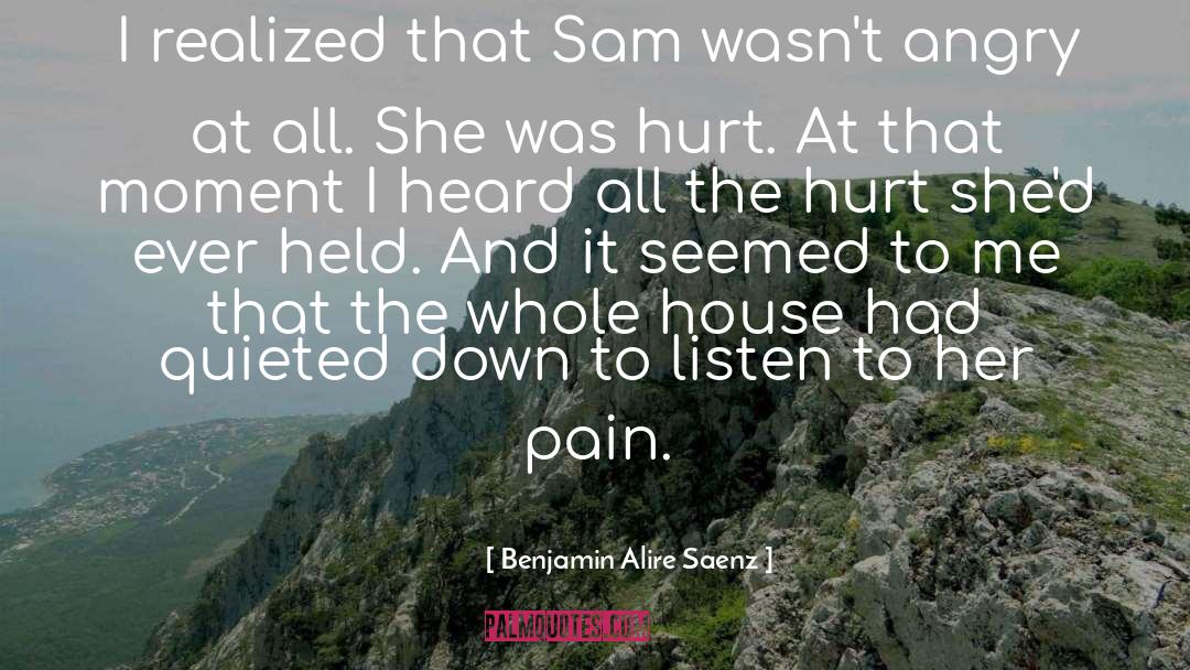 Benjamin Alire Saenz Quotes: I realized that Sam wasn't