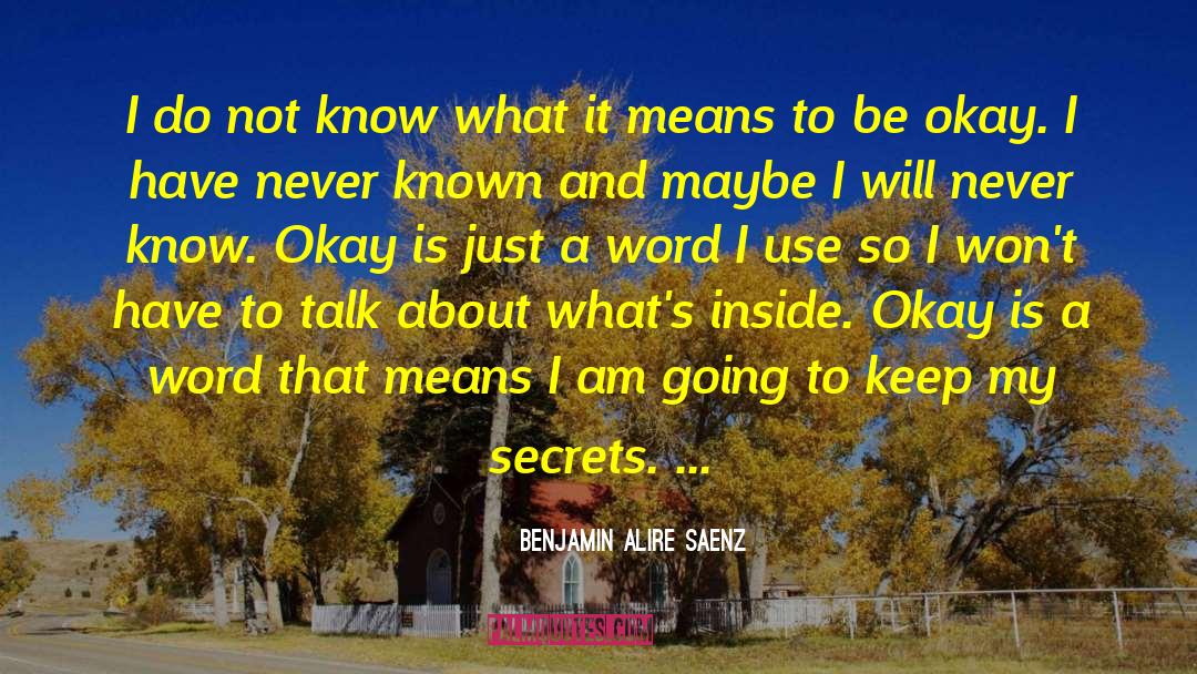 Benjamin Alire Saenz Quotes: I do not know what