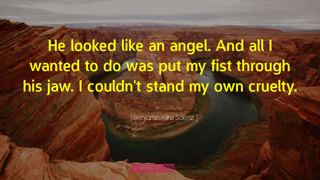 Benjamin Alire Saenz Quotes: He looked like an angel.