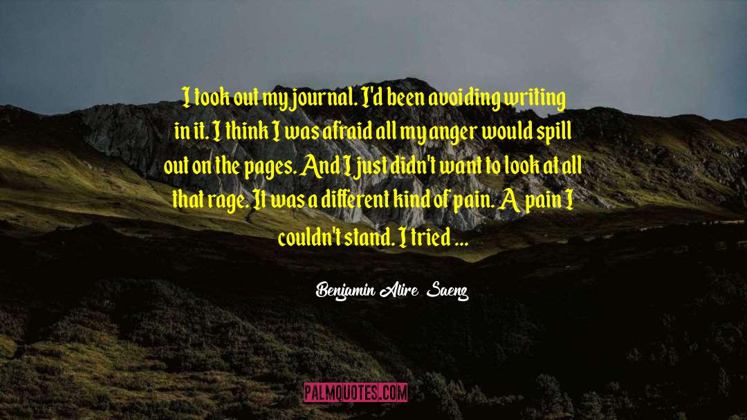 Benjamin Alire Saenz Quotes: I took out my journal.