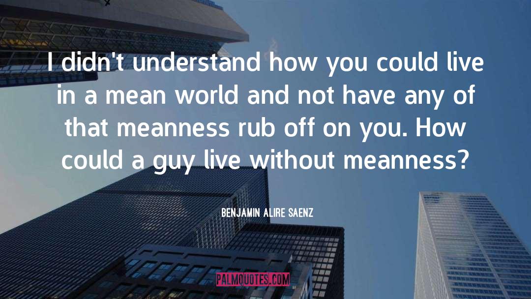 Benjamin Alire Saenz Quotes: I didn't understand how you