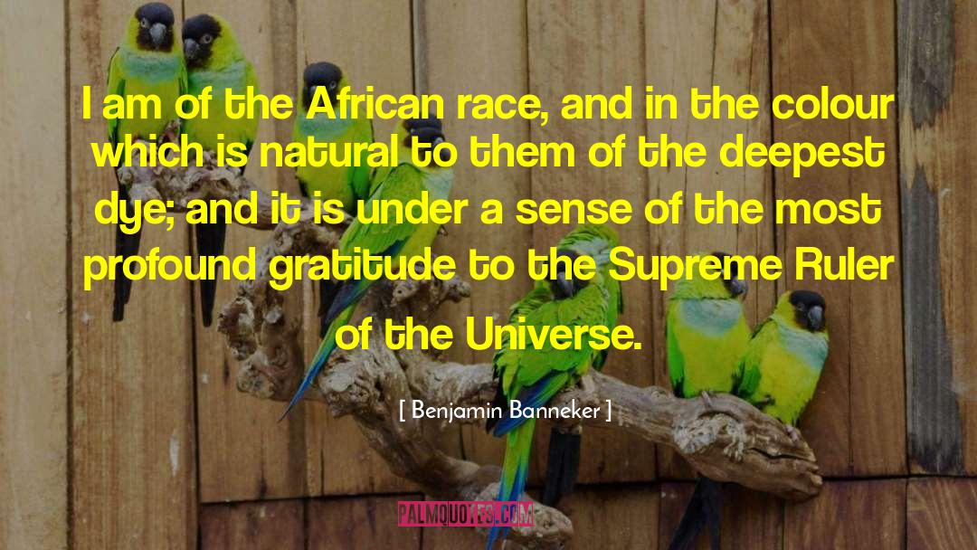Benjamin Banneker Quotes: I am of the African