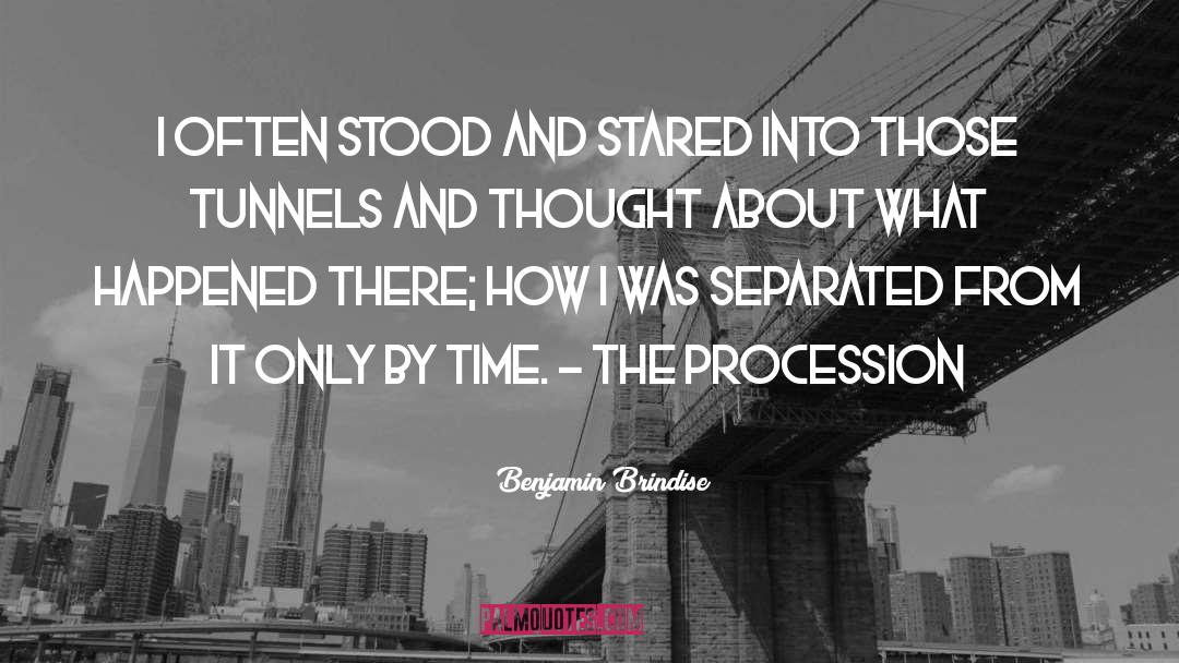 Benjamin Brindise Quotes: I often stood and stared