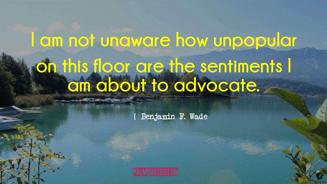 Benjamin F. Wade Quotes: I am not unaware how