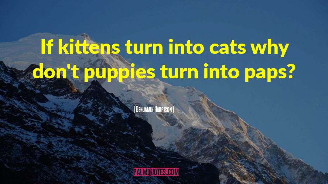 Benjamin Harrison Quotes: If kittens turn into cats