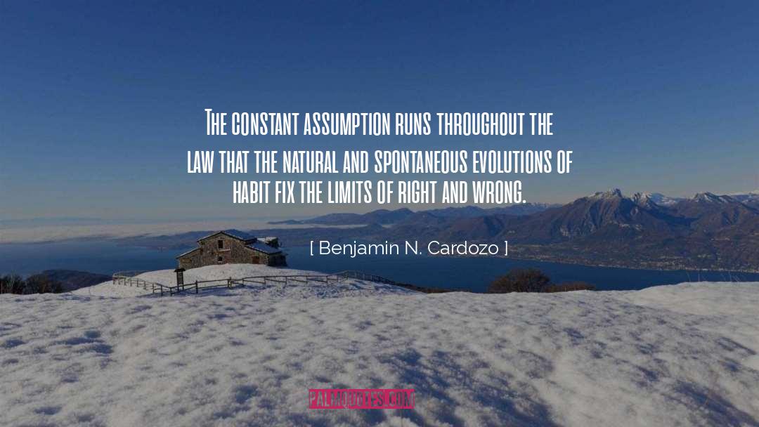 Benjamin N. Cardozo Quotes: The constant assumption runs throughout