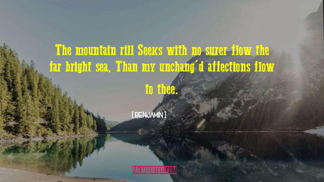 Benjamin Quotes: The mountain rill Seeks with
