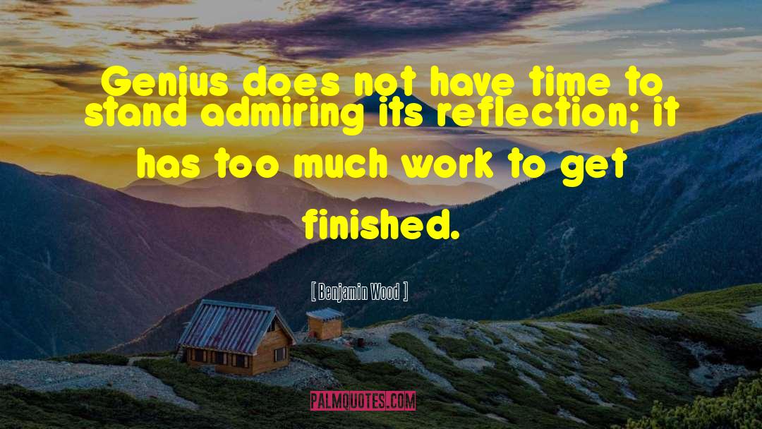 Benjamin Wood Quotes: Genius does not have time