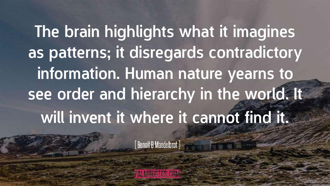 Benoit B Mandelbrot Quotes: The brain highlights what it