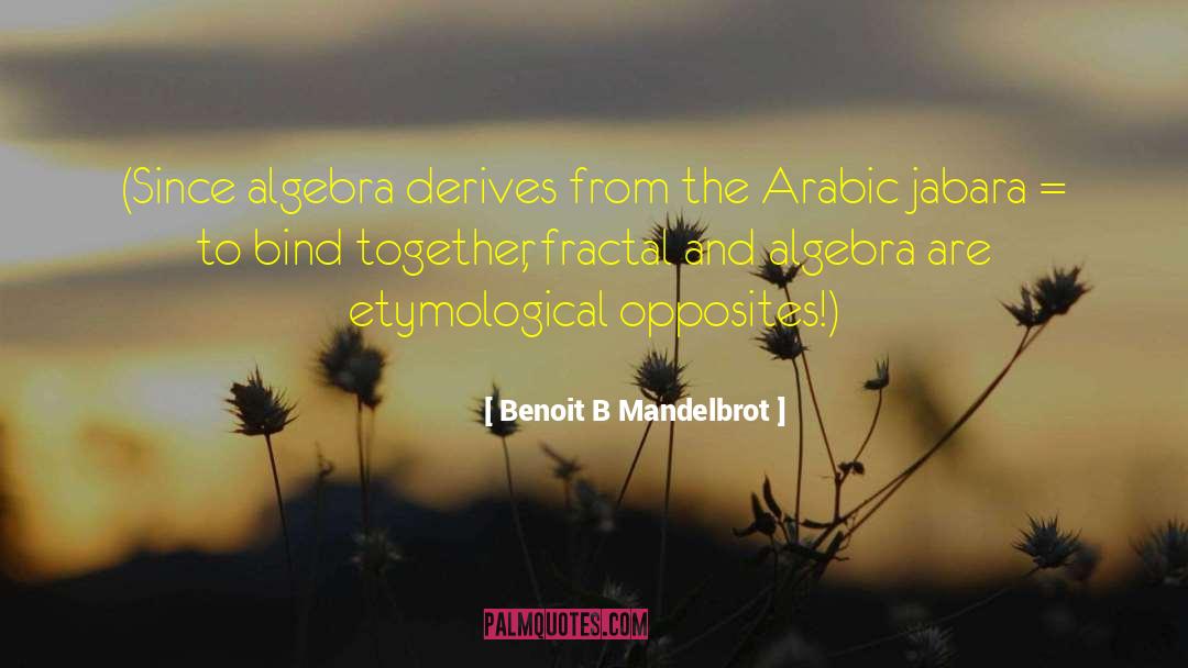 Benoit B Mandelbrot Quotes: (Since algebra derives from the