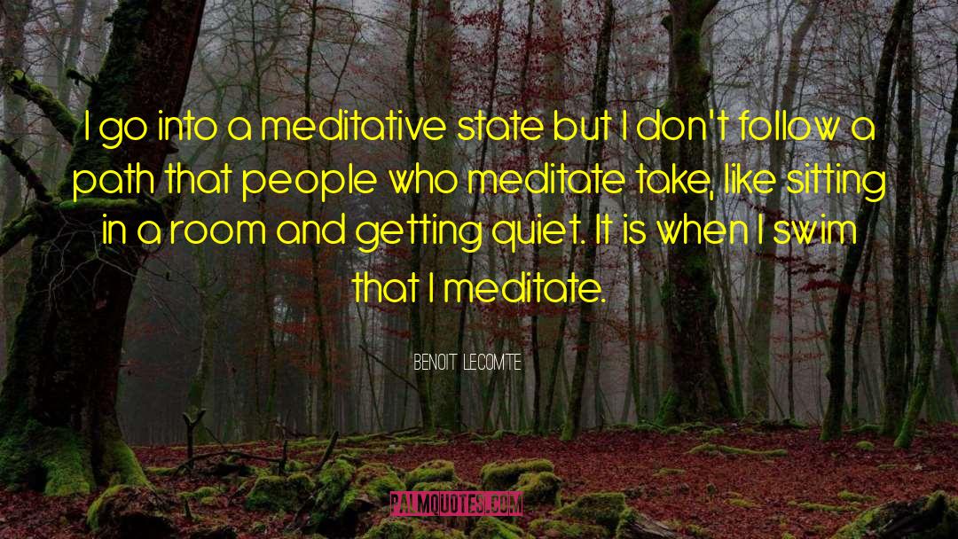 Benoit Lecomte Quotes: I go into a meditative