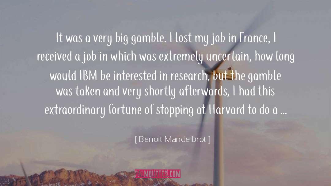 Benoit Mandelbrot Quotes: It was a very big