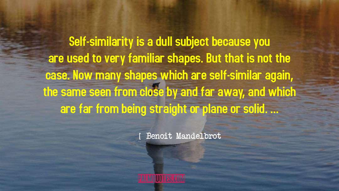 Benoit Mandelbrot Quotes: Self-similarity is a dull subject