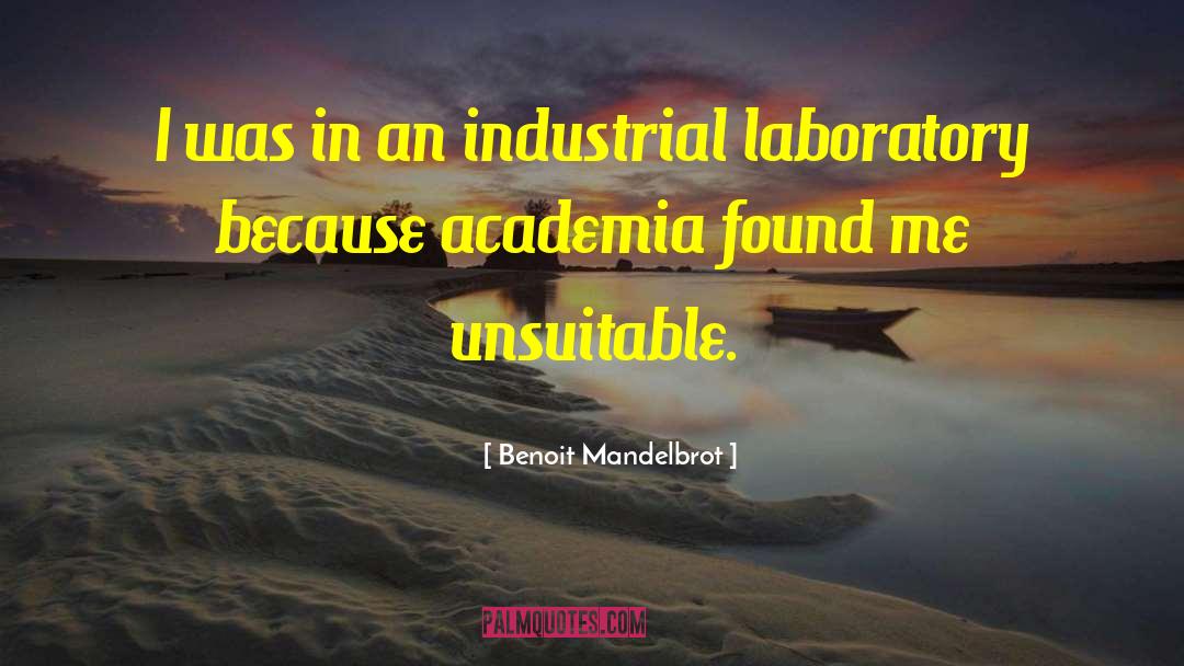 Benoit Mandelbrot Quotes: I was in an industrial