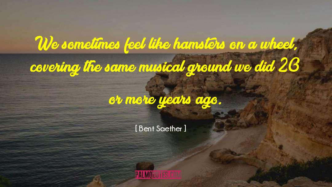 Bent Saether Quotes: We sometimes feel like hamsters