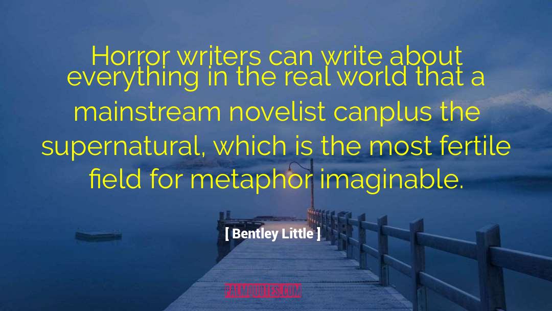 Bentley Little Quotes: Horror writers can write about