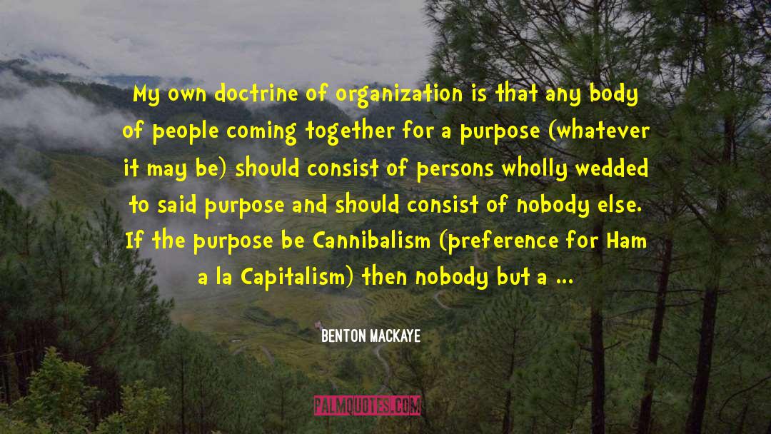 Benton MacKaye Quotes: My own doctrine of organization