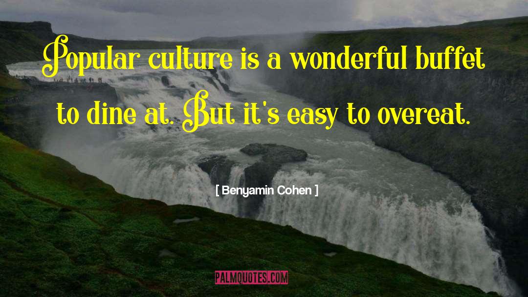 Benyamin Cohen Quotes: Popular culture is a wonderful