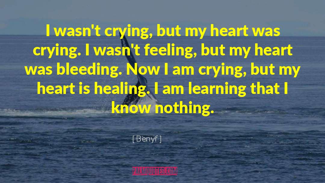 Benyf Quotes: I wasn't crying, but my