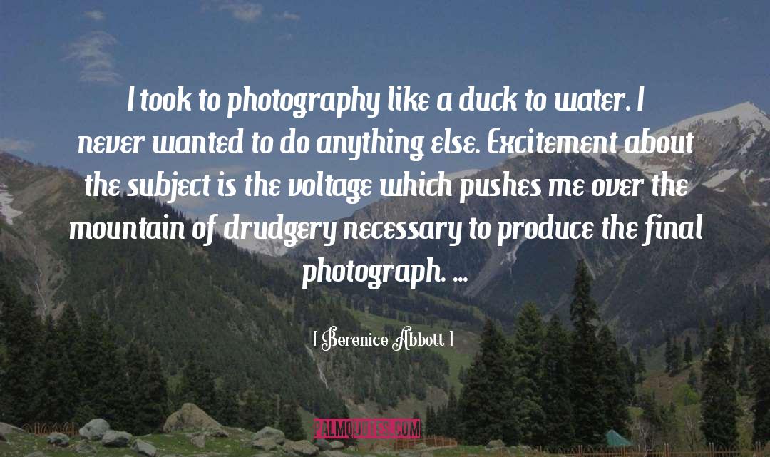 Berenice Abbott Quotes: I took to photography like