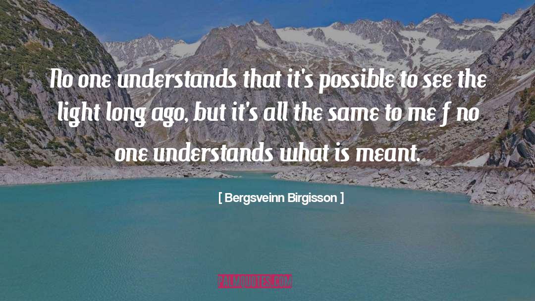 Bergsveinn Birgisson Quotes: No one understands that it's