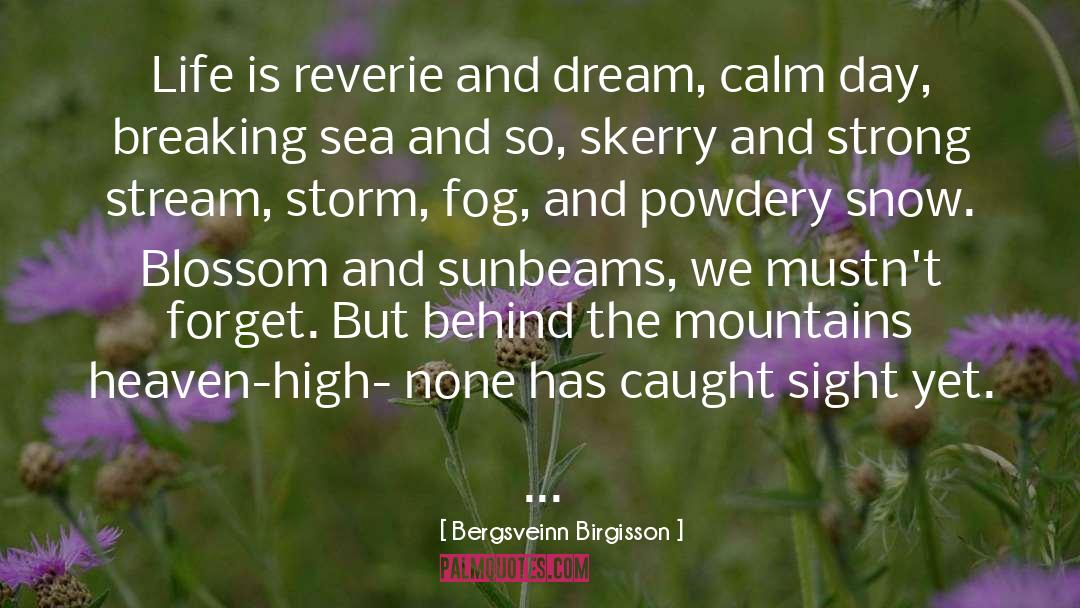 Bergsveinn Birgisson Quotes: Life is reverie and dream,