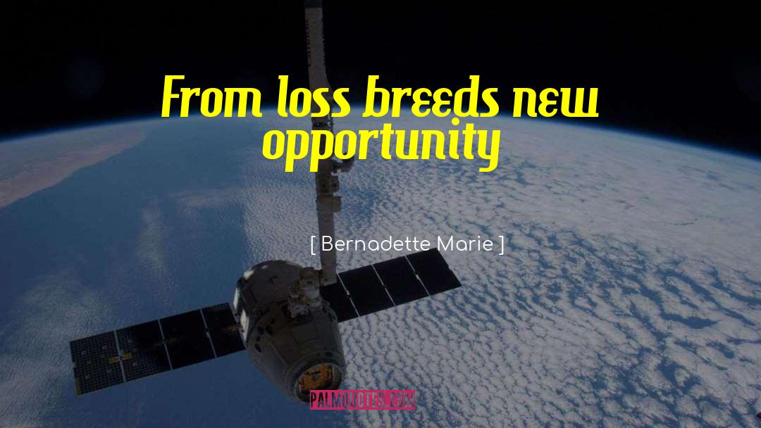 Bernadette Marie Quotes: From loss breeds new opportunity