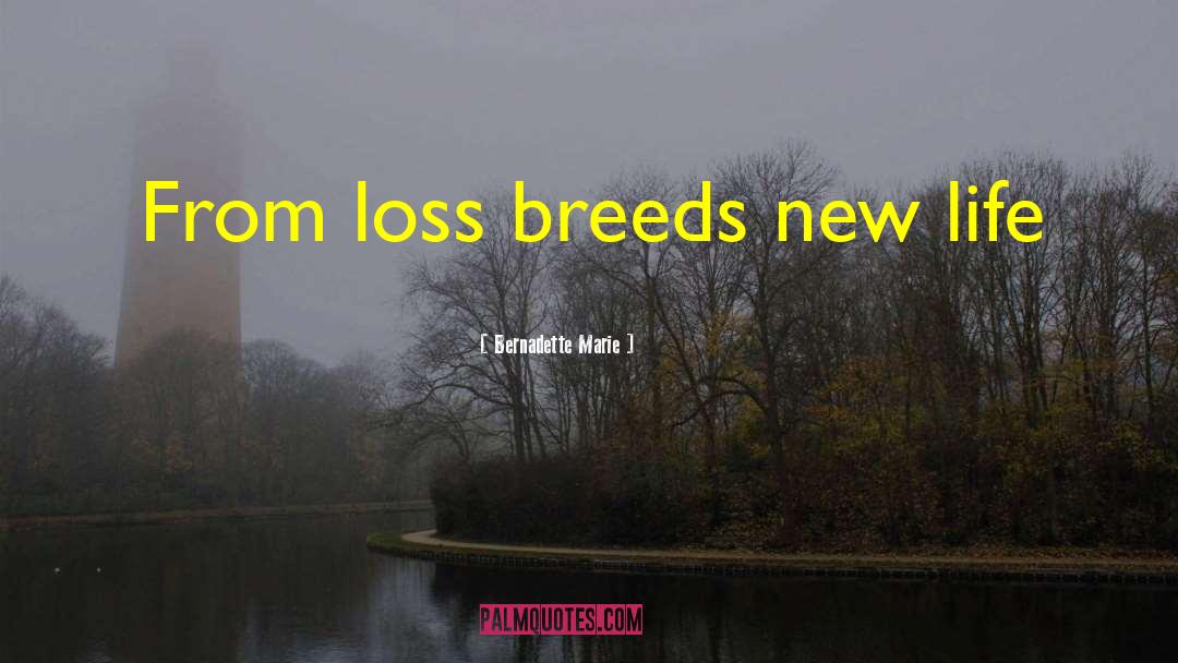 Bernadette Marie Quotes: From loss breeds new life