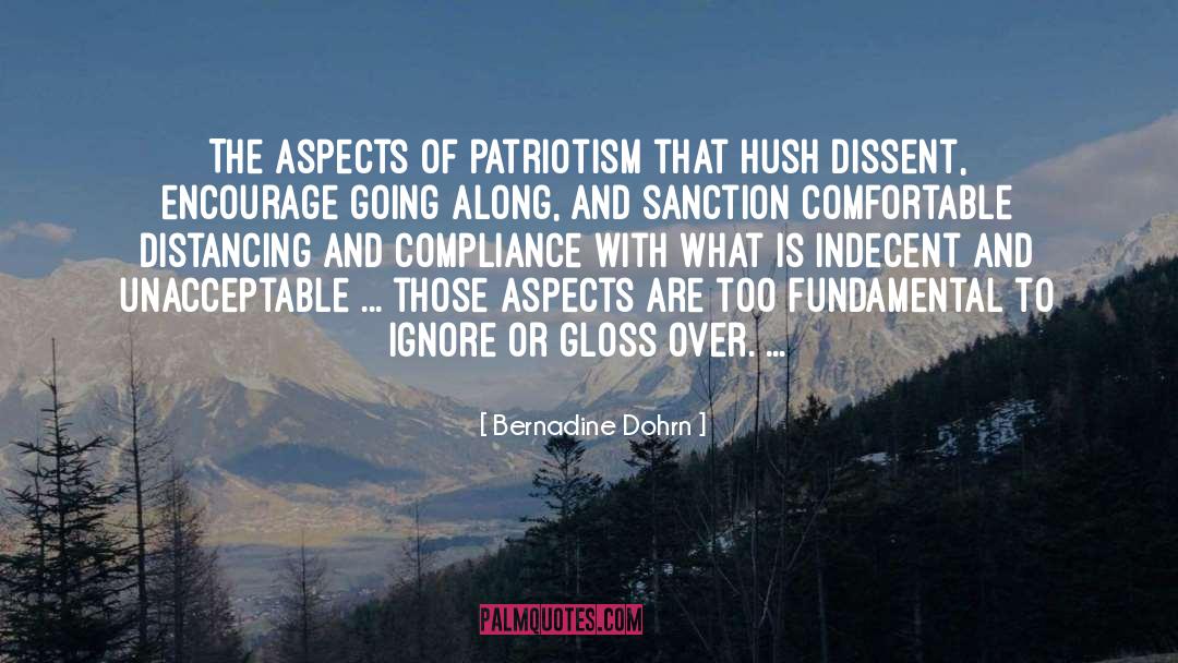 Bernadine Dohrn Quotes: The aspects of patriotism that