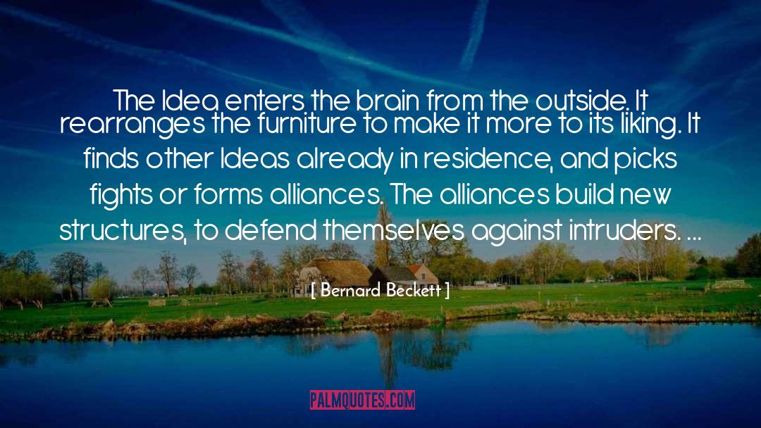 Bernard Beckett Quotes: The Idea enters the brain