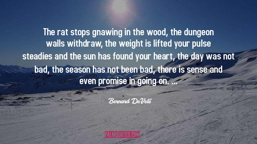 Bernard DeVoto Quotes: The rat stops gnawing in
