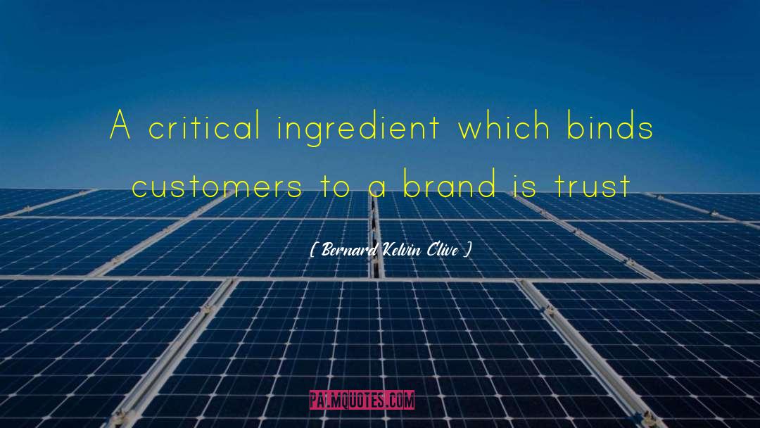 Bernard Kelvin Clive Quotes: A critical ingredient which binds