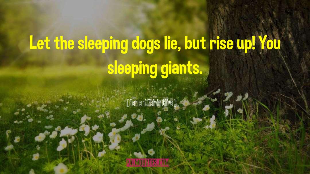 Bernard Kelvin Clive Quotes: Let the sleeping dogs lie,