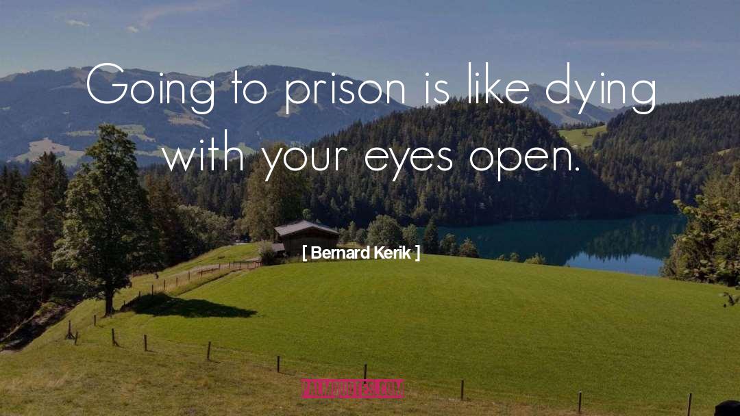 Bernard Kerik Quotes: Going to prison is like