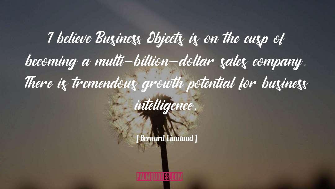 Bernard Liautaud Quotes: I believe Business Objects is