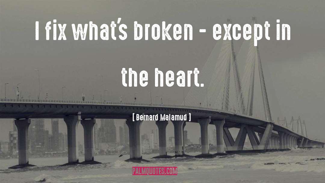 Bernard Malamud Quotes: I fix what's broken -